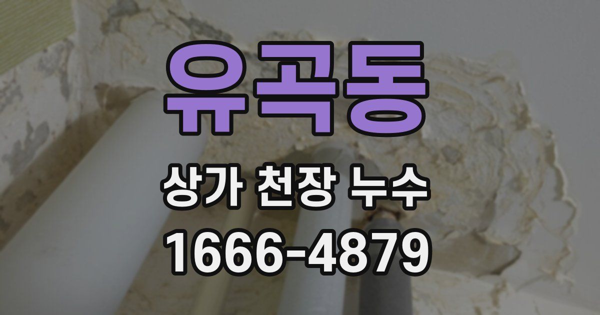 유곡동 상가 천장 누수