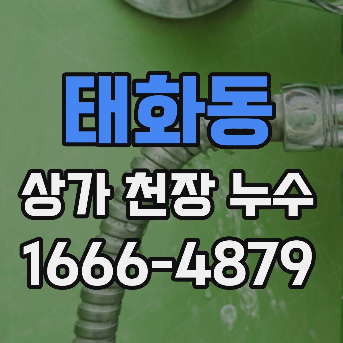 태화동 상가 천장 누수