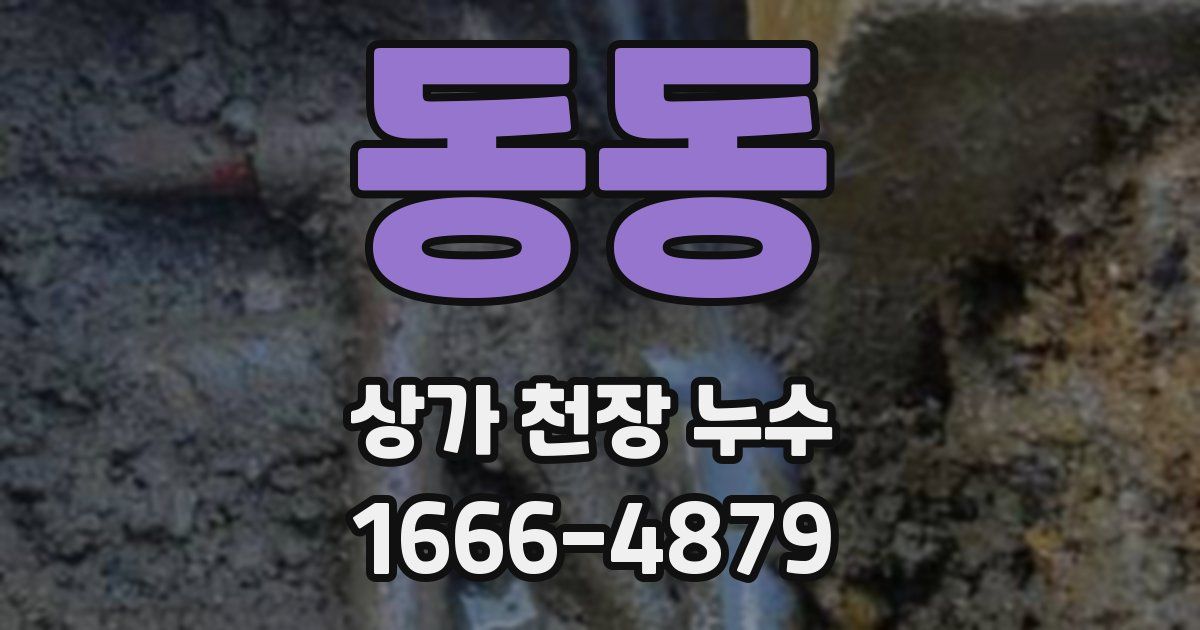 동동 상가 천장 누수