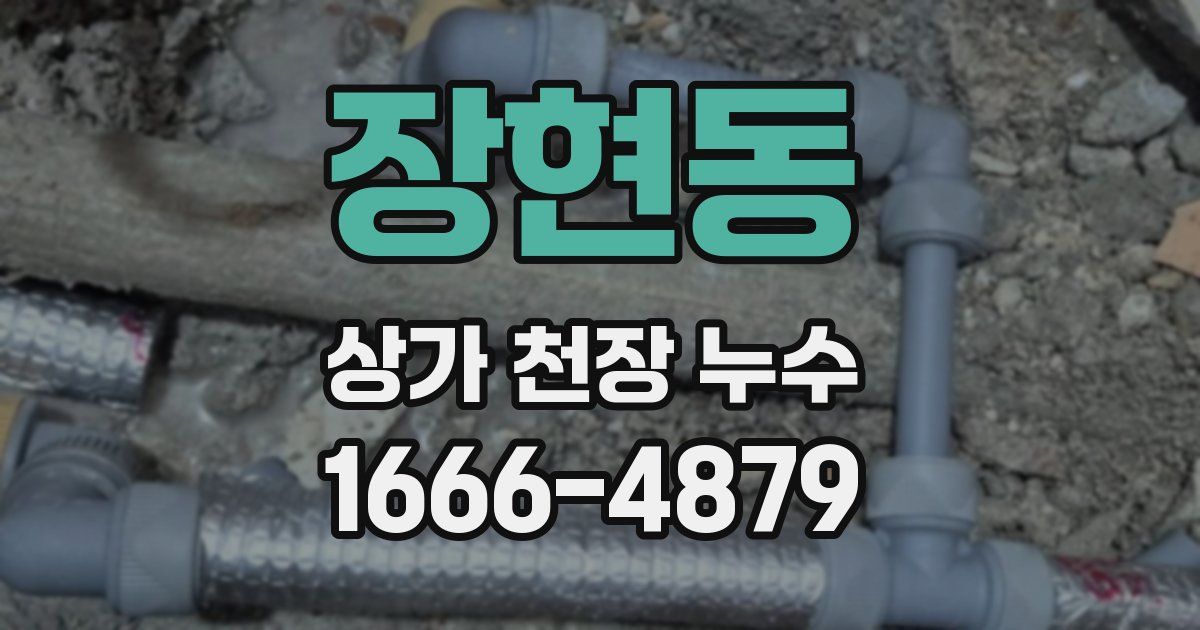 장현동 상가 천장 누수