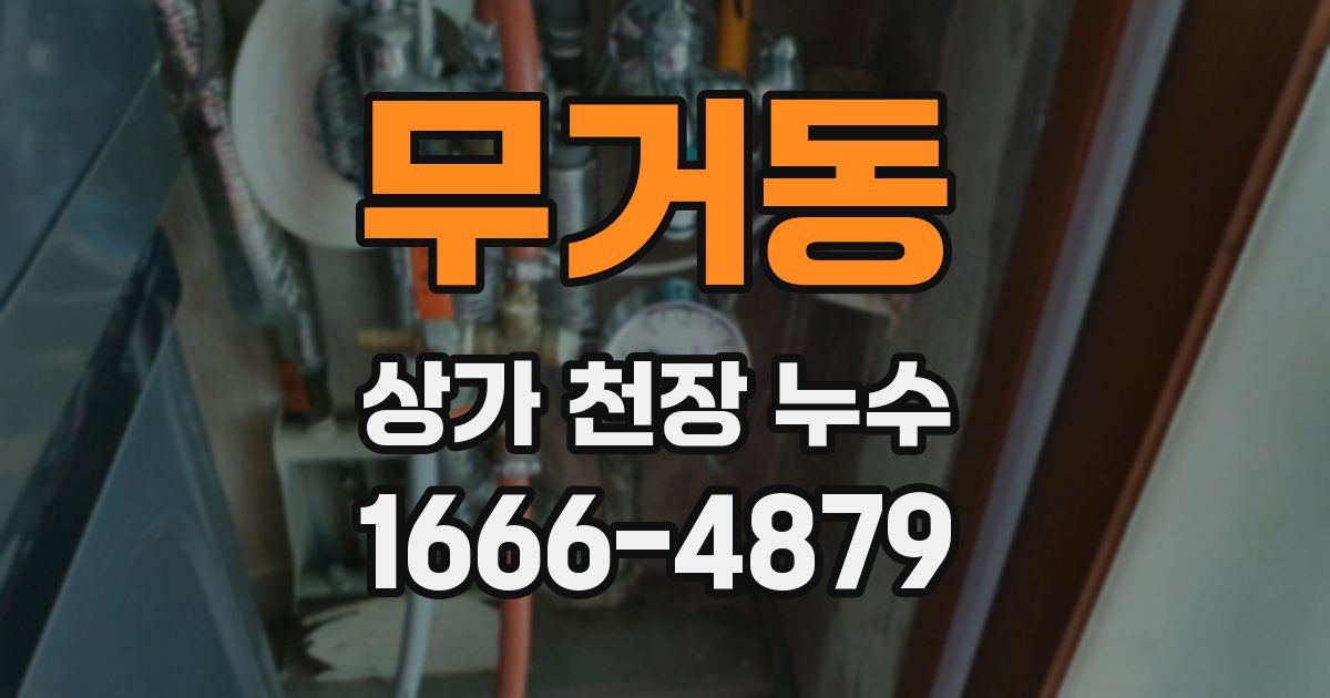 무거동 상가 천장 누수