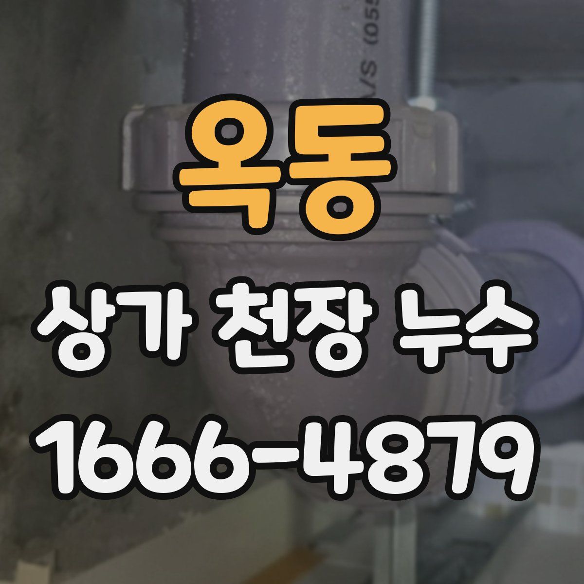 옥동 상가 천장 누수