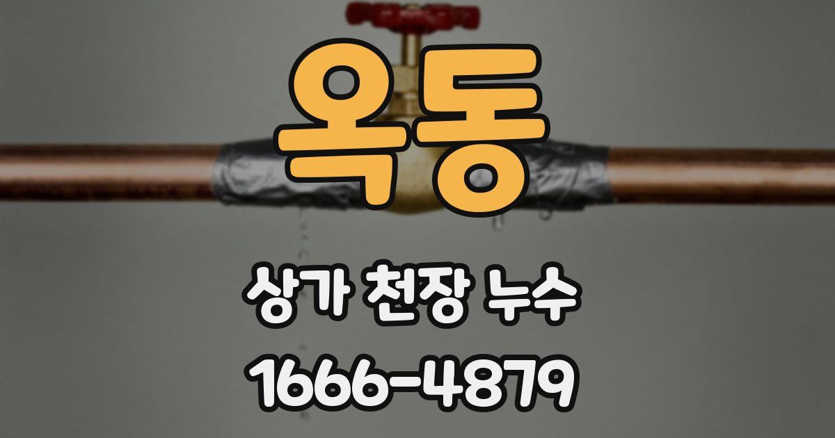 옥동 상가 천장 누수