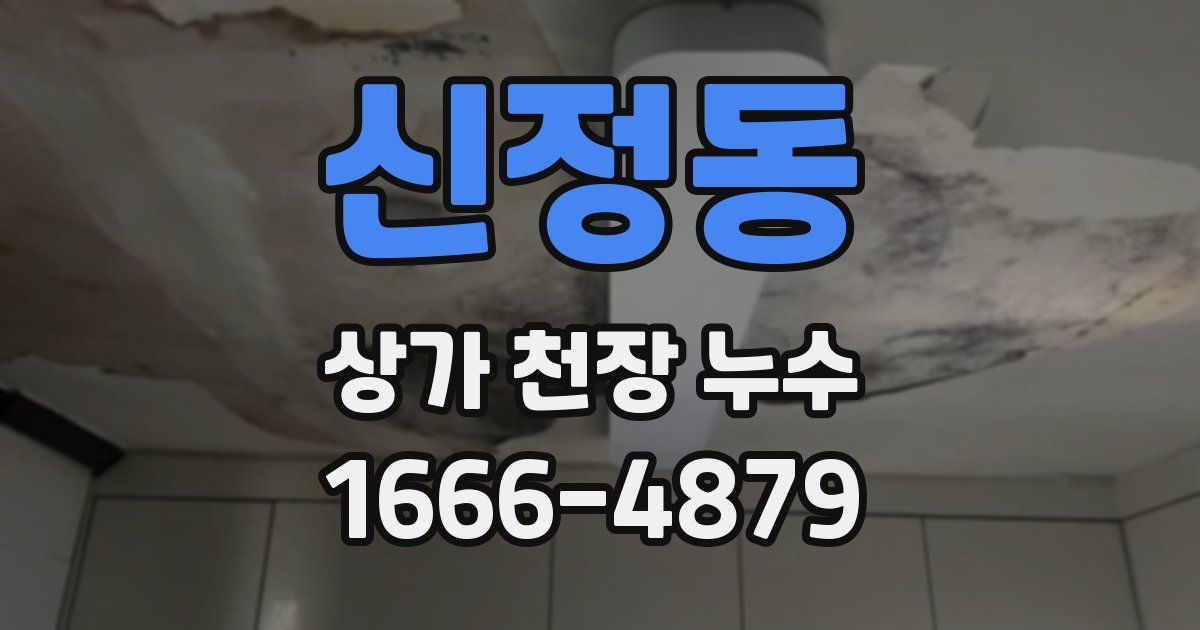 신정동 상가 천장 누수