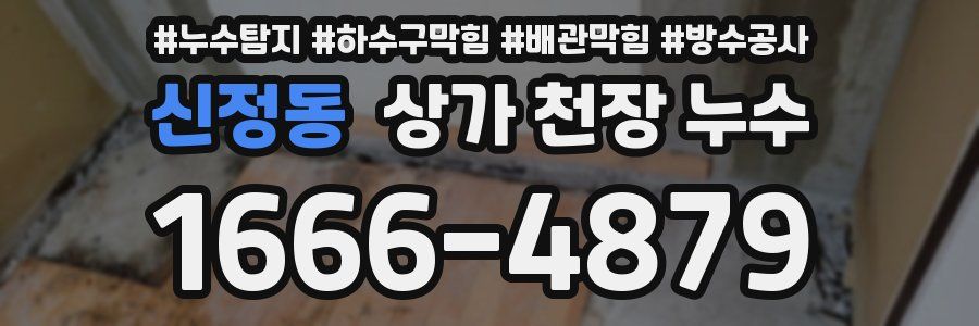 신정동 상가 천장 누수