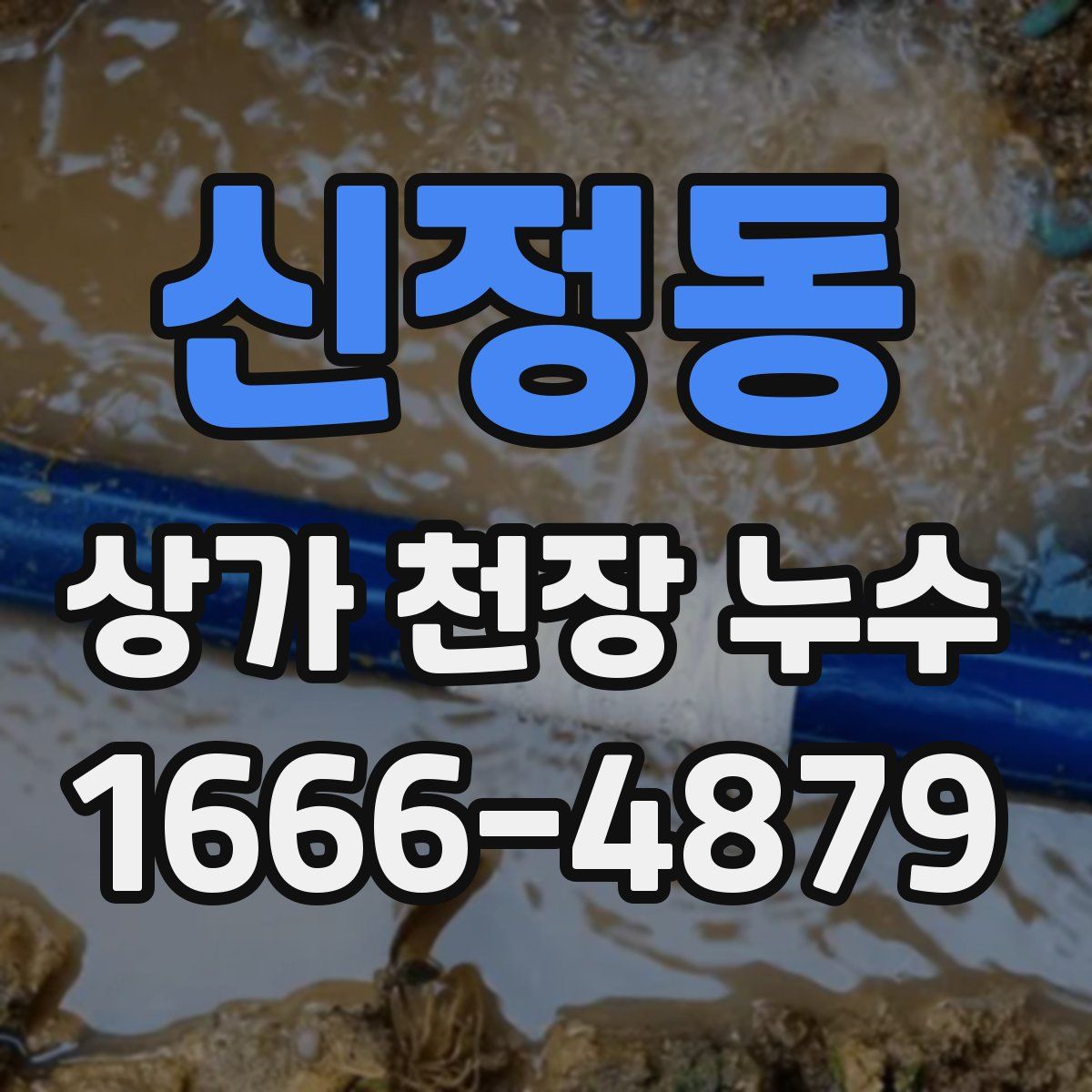 신정동 상가 천장 누수