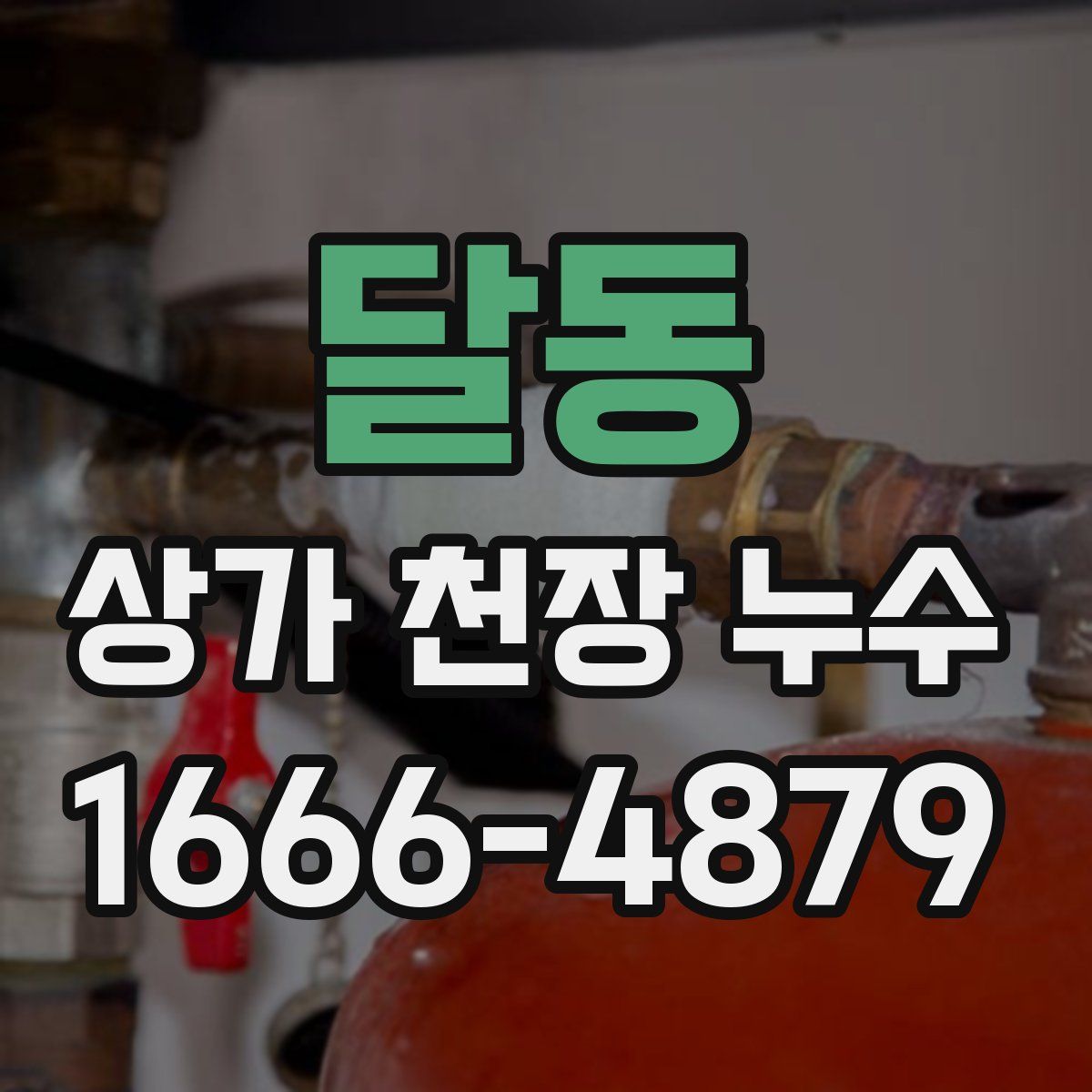 달동 상가 천장 누수