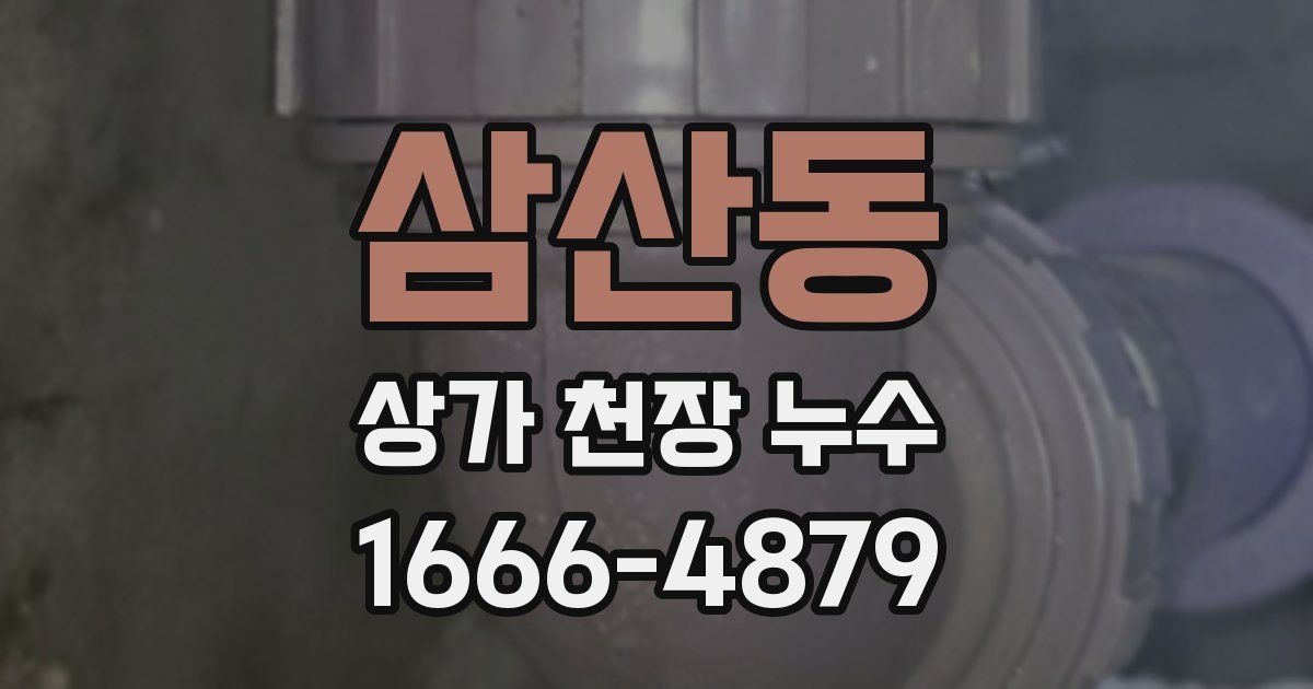 삼산동 상가 천장 누수