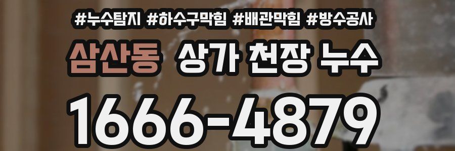삼산동 상가 천장 누수
