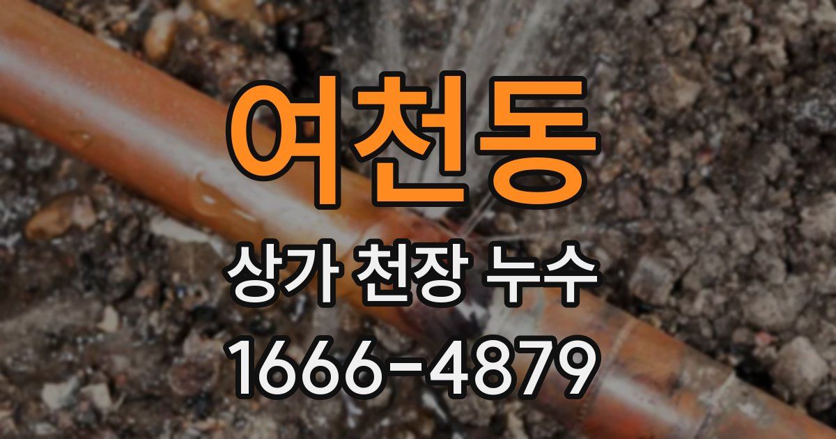 여천동 상가 천장 누수