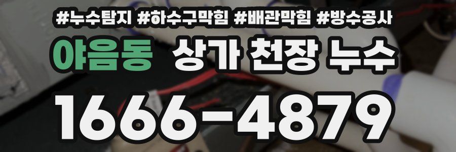 야음동 상가 천장 누수