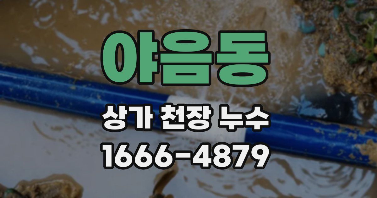 야음동 상가 천장 누수