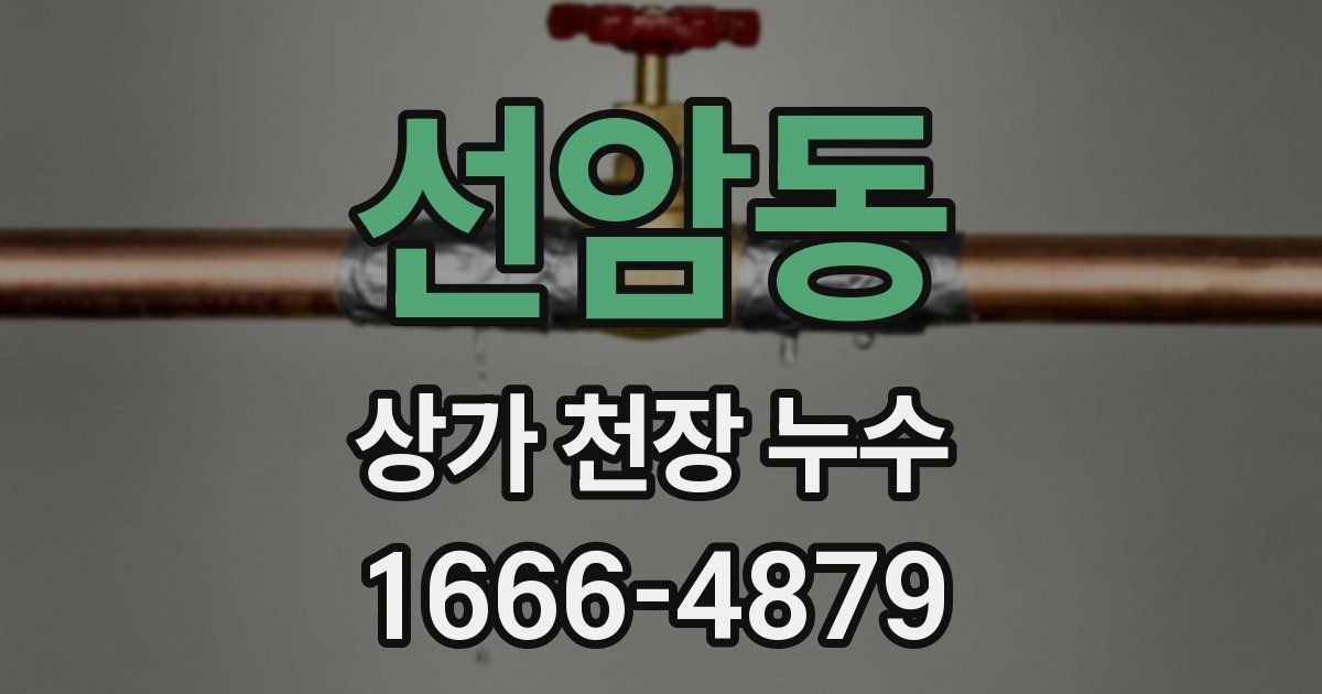 선암동 상가 천장 누수