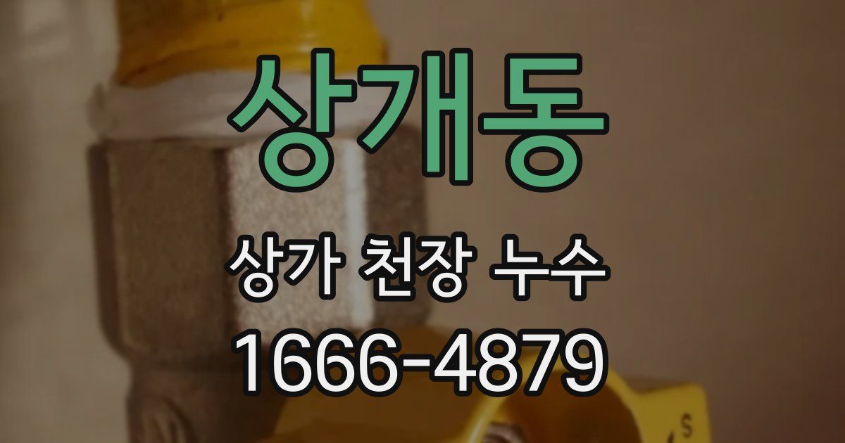 상개동 상가 천장 누수