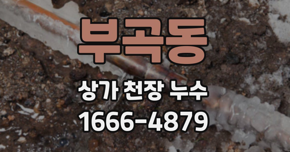 부곡동 상가 천장 누수
