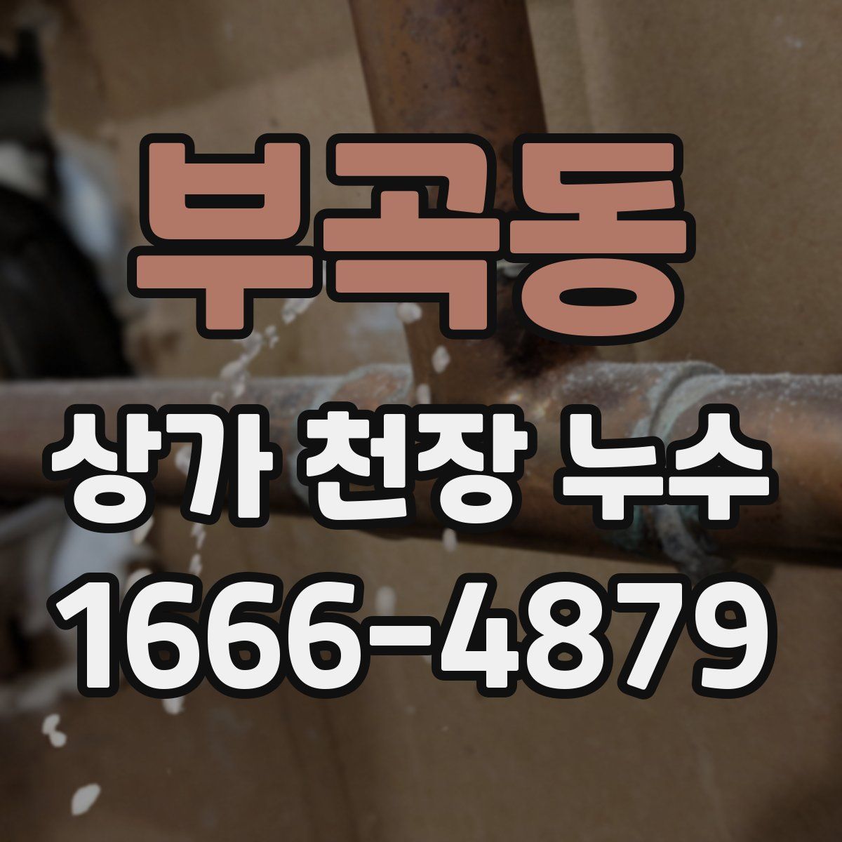 부곡동 상가 천장 누수