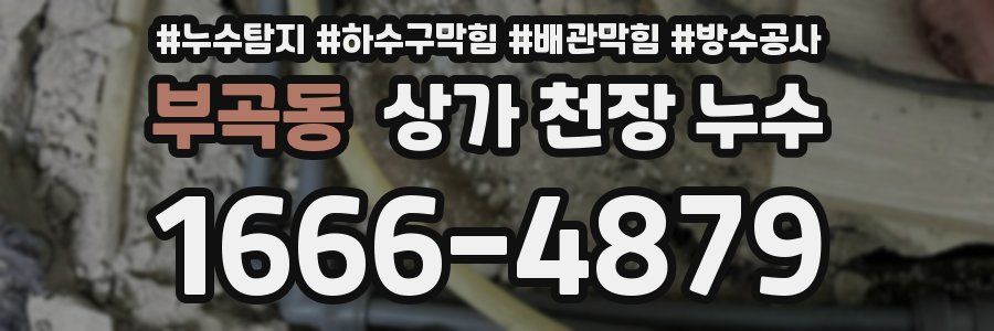 부곡동 상가 천장 누수