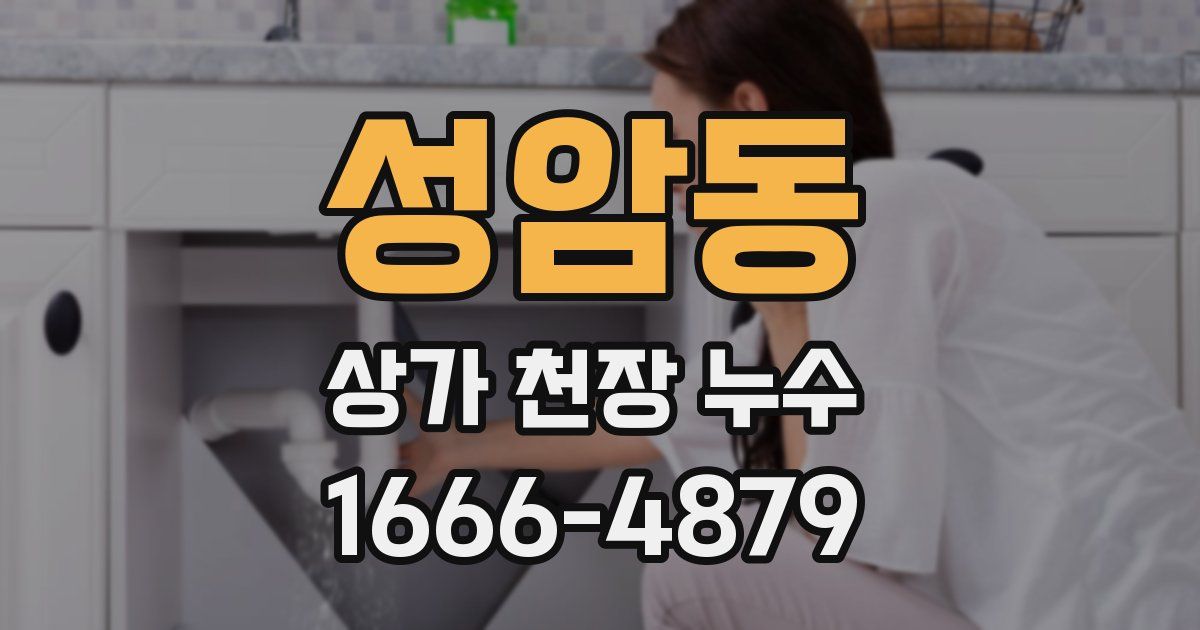 성암동 상가 천장 누수