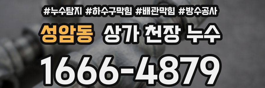 성암동 상가 천장 누수