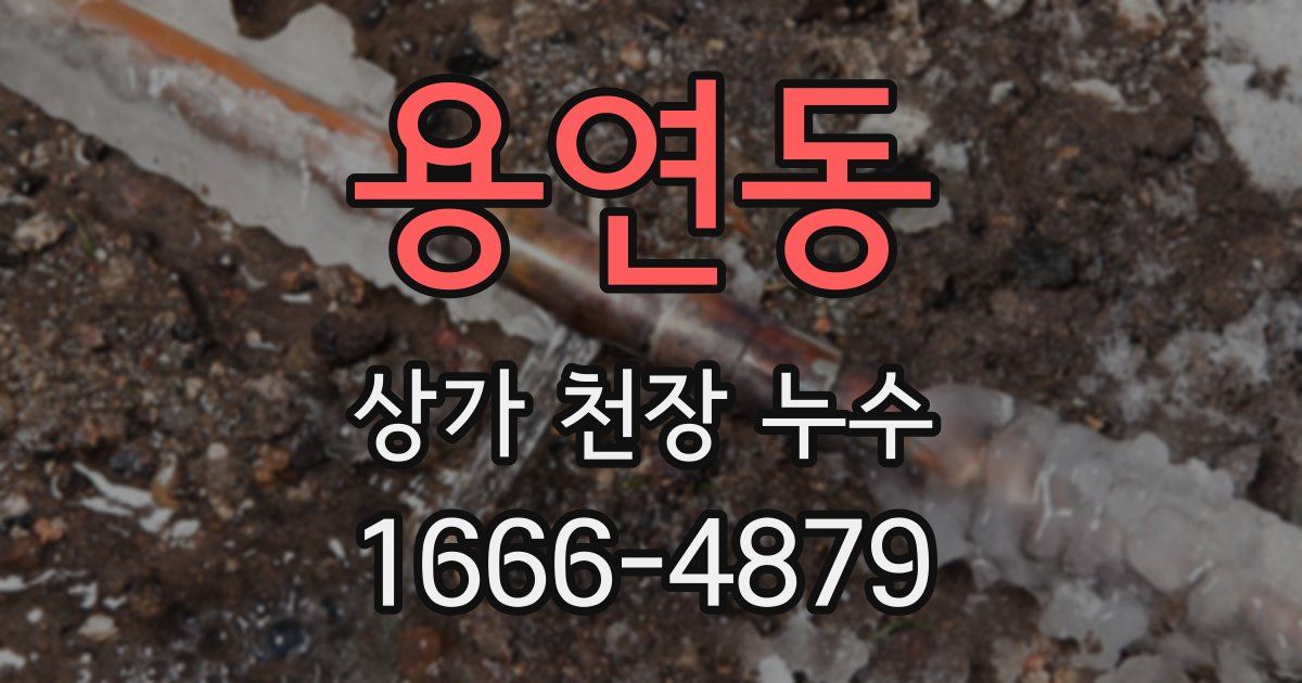 용연동 상가 천장 누수
