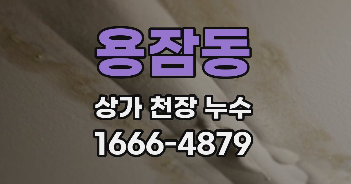 용잠동 상가 천장 누수