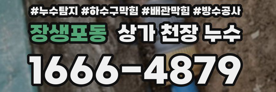 장생포동 상가 천장 누수