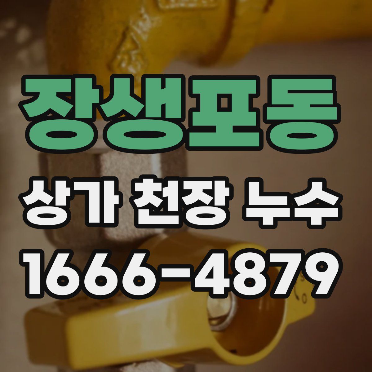 장생포동 상가 천장 누수