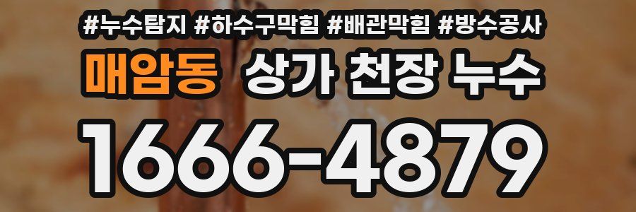 매암동 상가 천장 누수