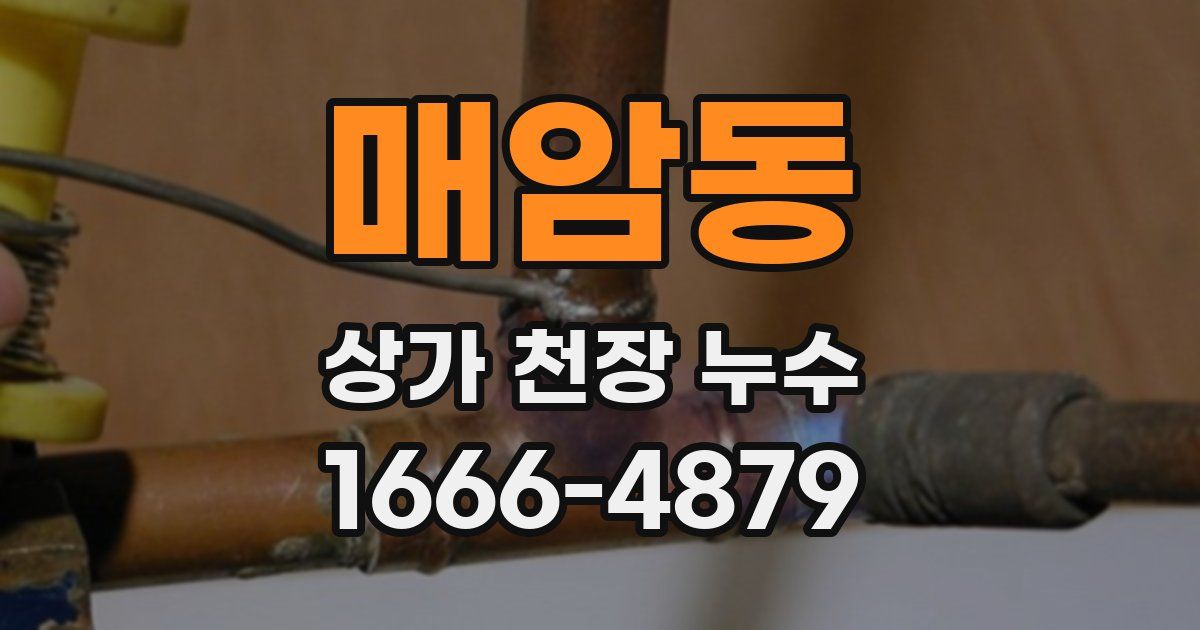 매암동 상가 천장 누수