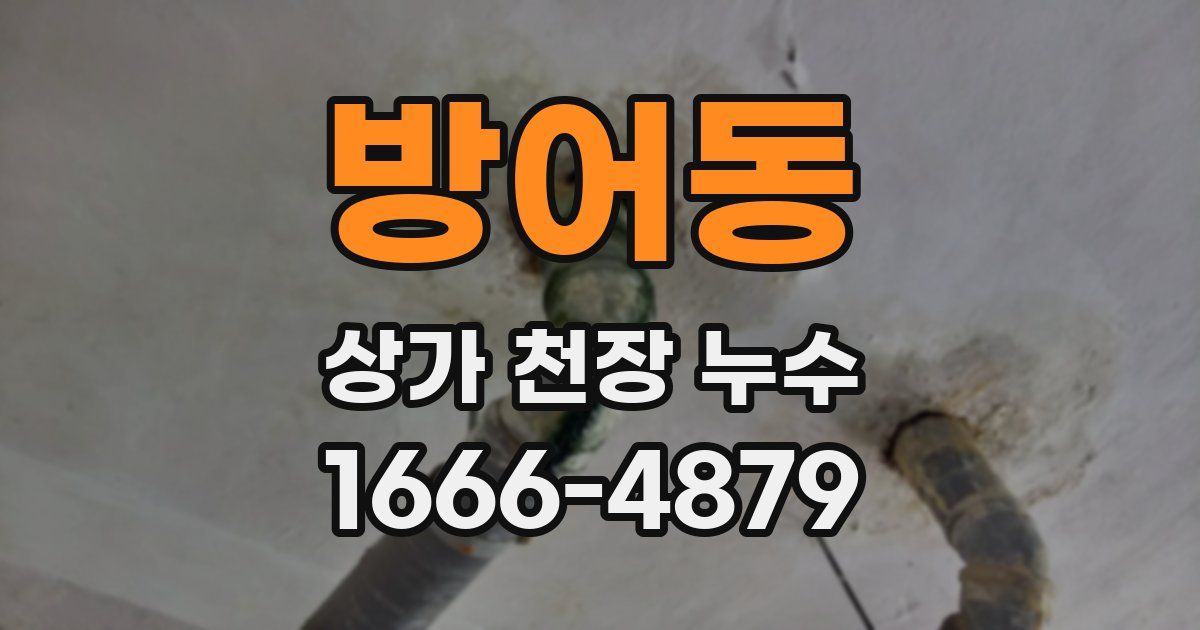 방어동 상가 천장 누수