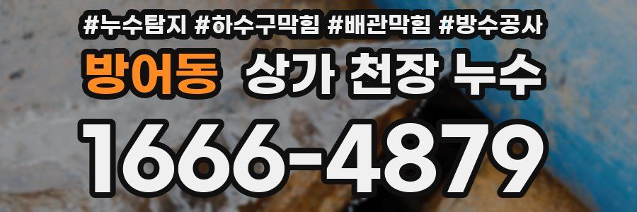 방어동 상가 천장 누수