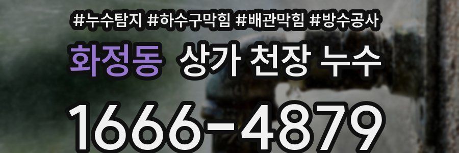 화정동 상가 천장 누수