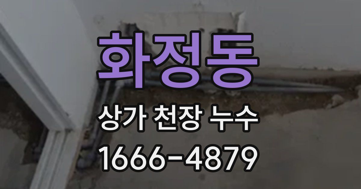 화정동 상가 천장 누수