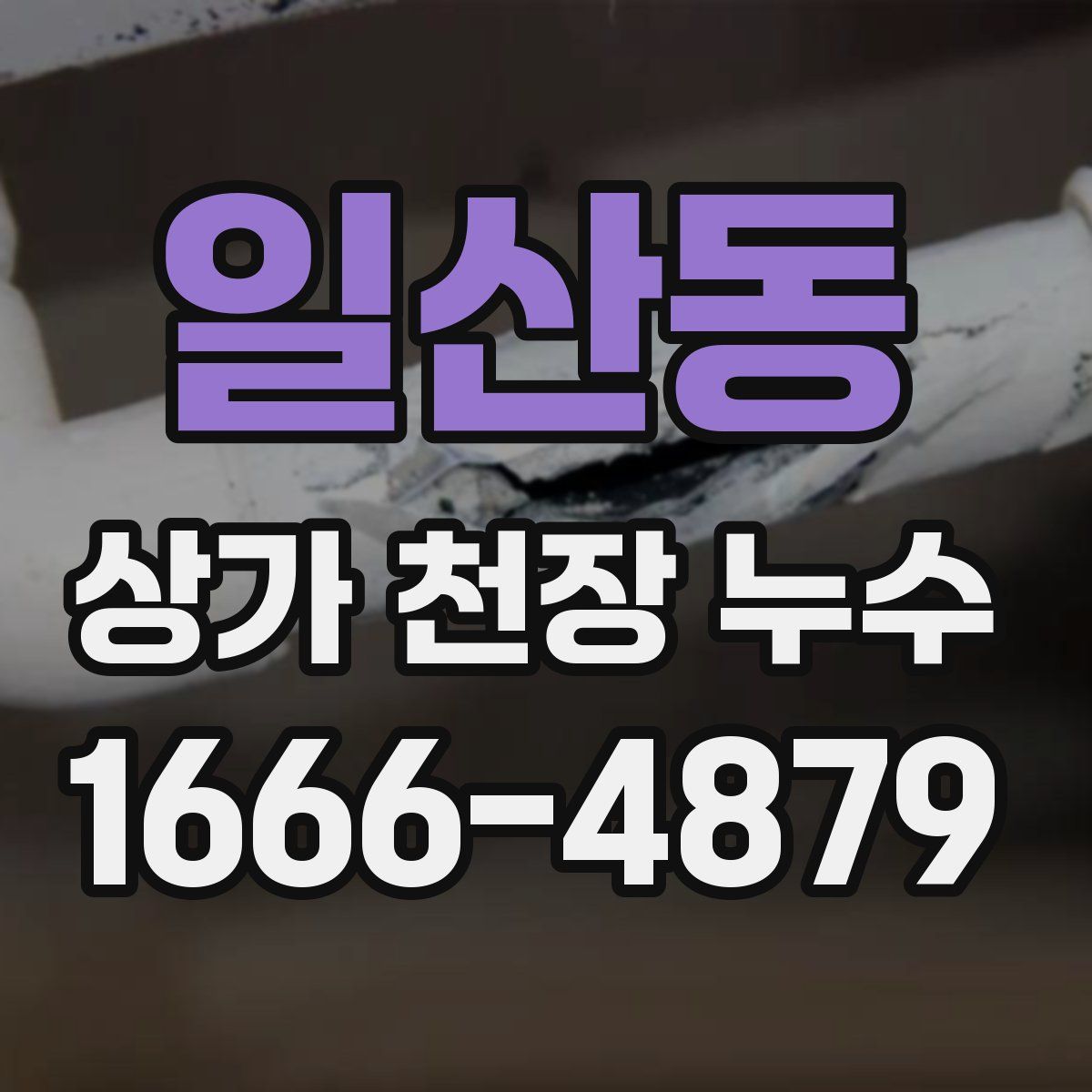 일산동 상가 천장 누수