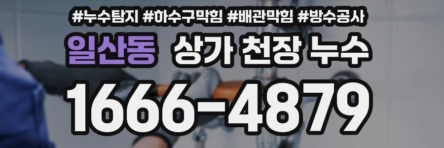 일산동 상가 천장 누수