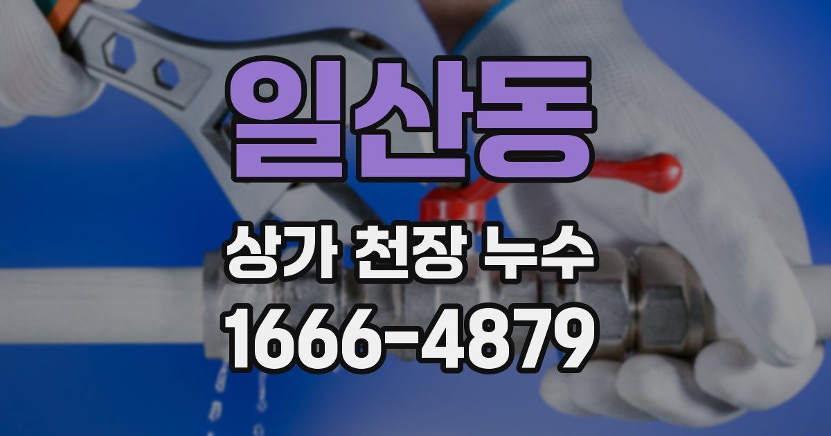 일산동 상가 천장 누수