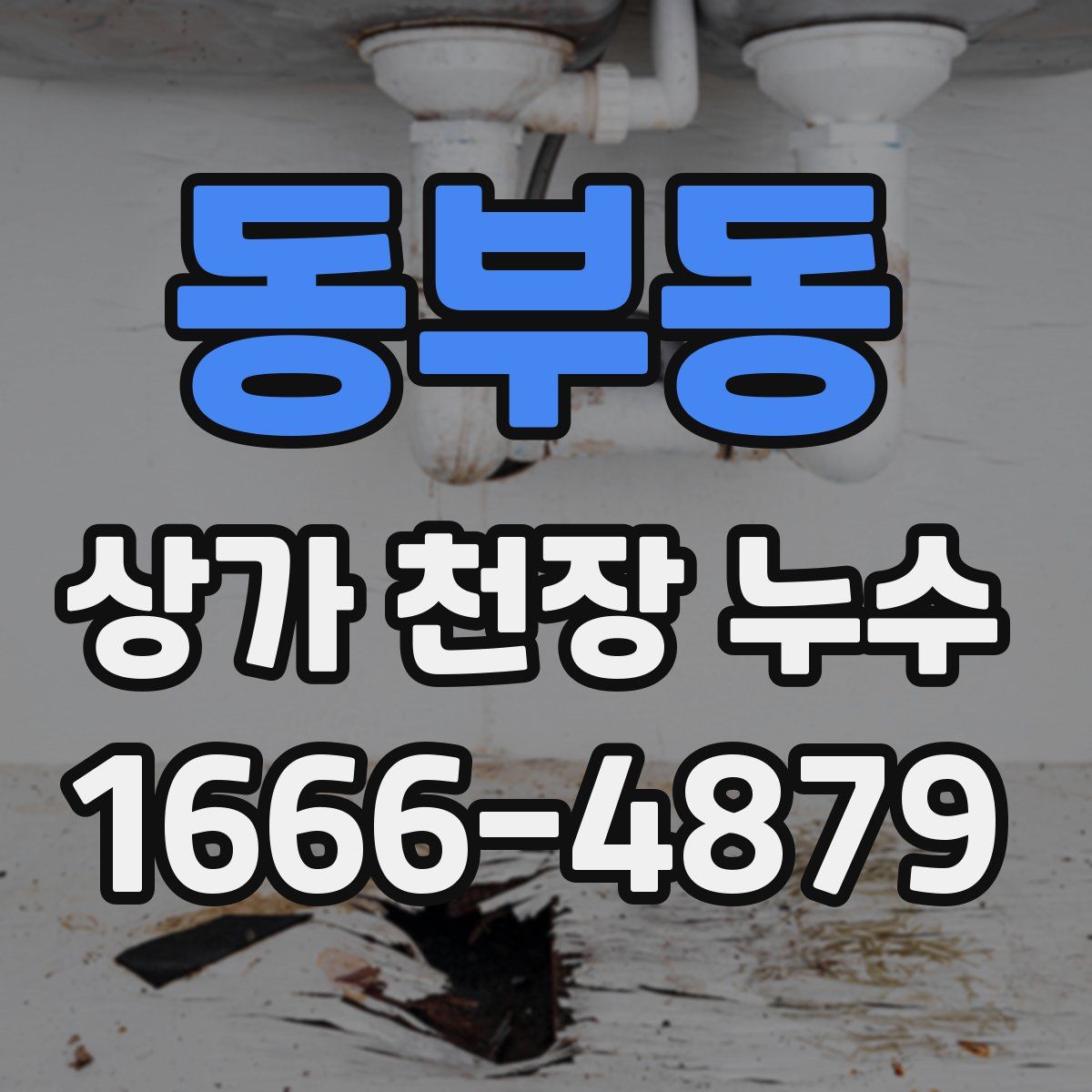 동부동 상가 천장 누수