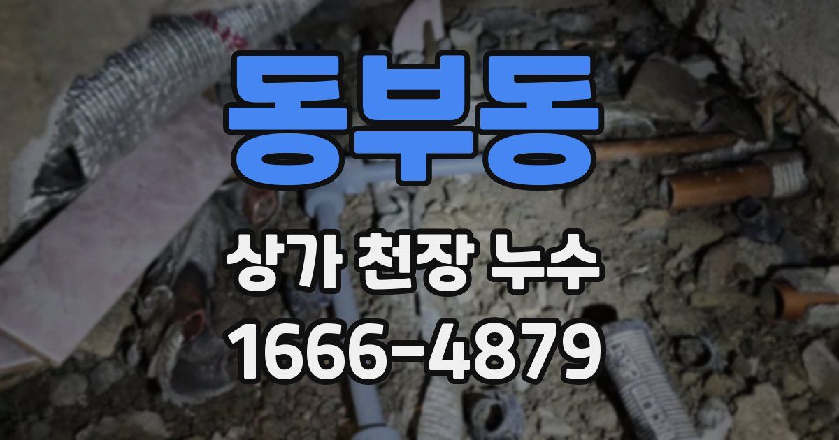 동부동 상가 천장 누수