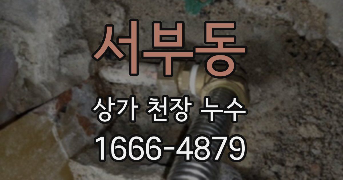 서부동 상가 천장 누수
