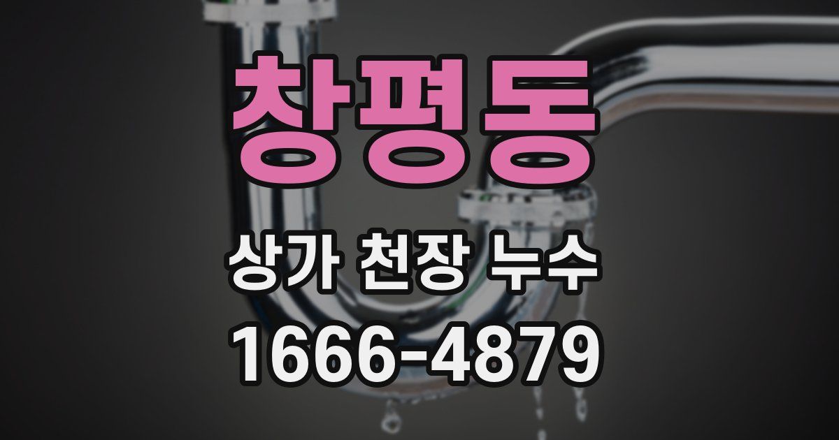 창평동 상가 천장 누수
