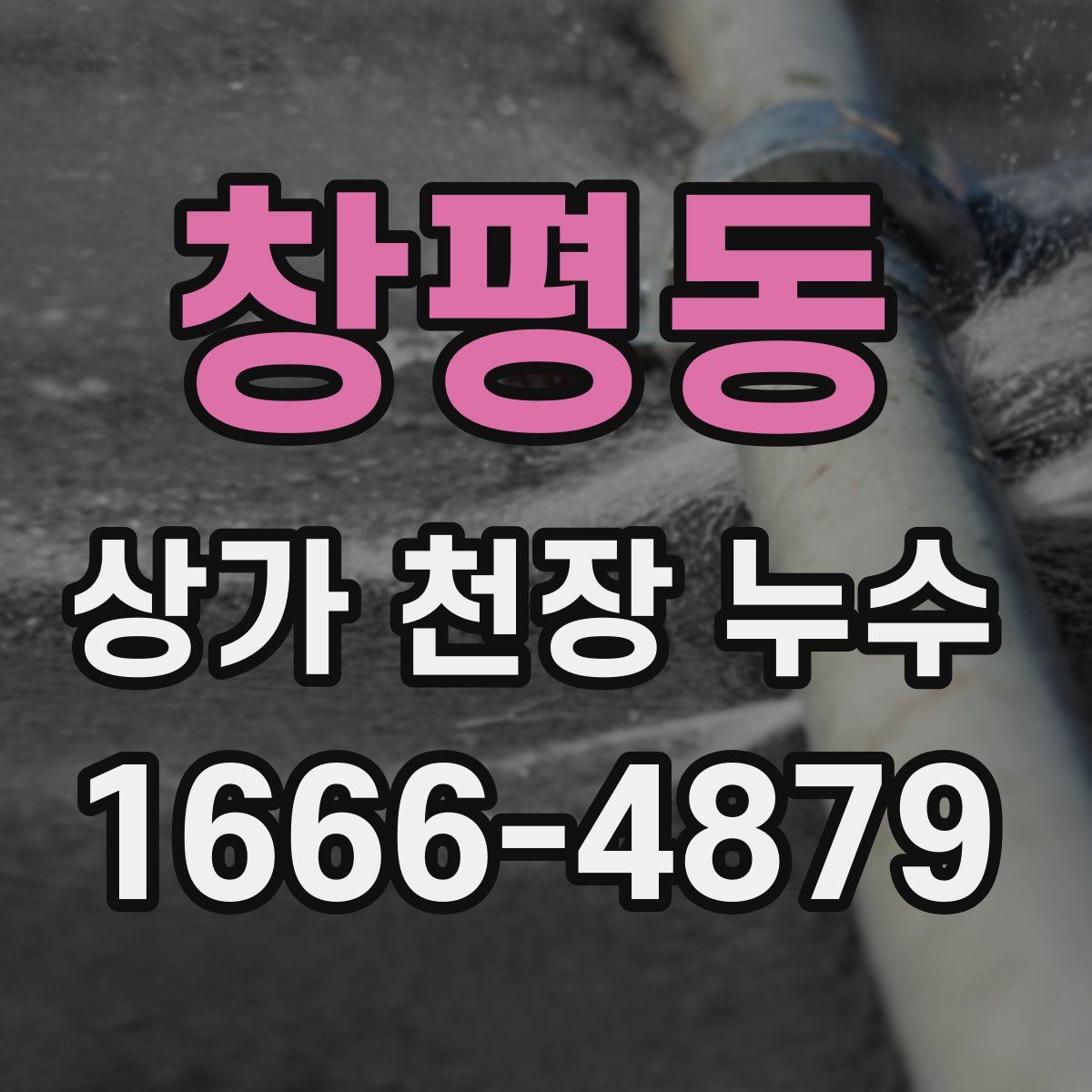 창평동 상가 천장 누수