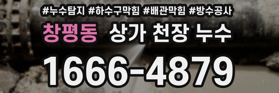 창평동 상가 천장 누수
