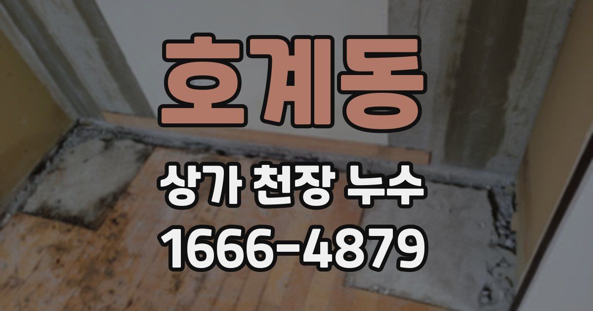 호계동 상가 천장 누수