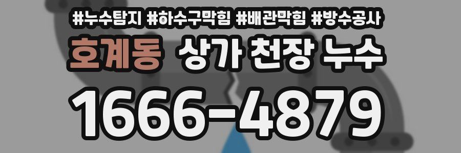 호계동 상가 천장 누수