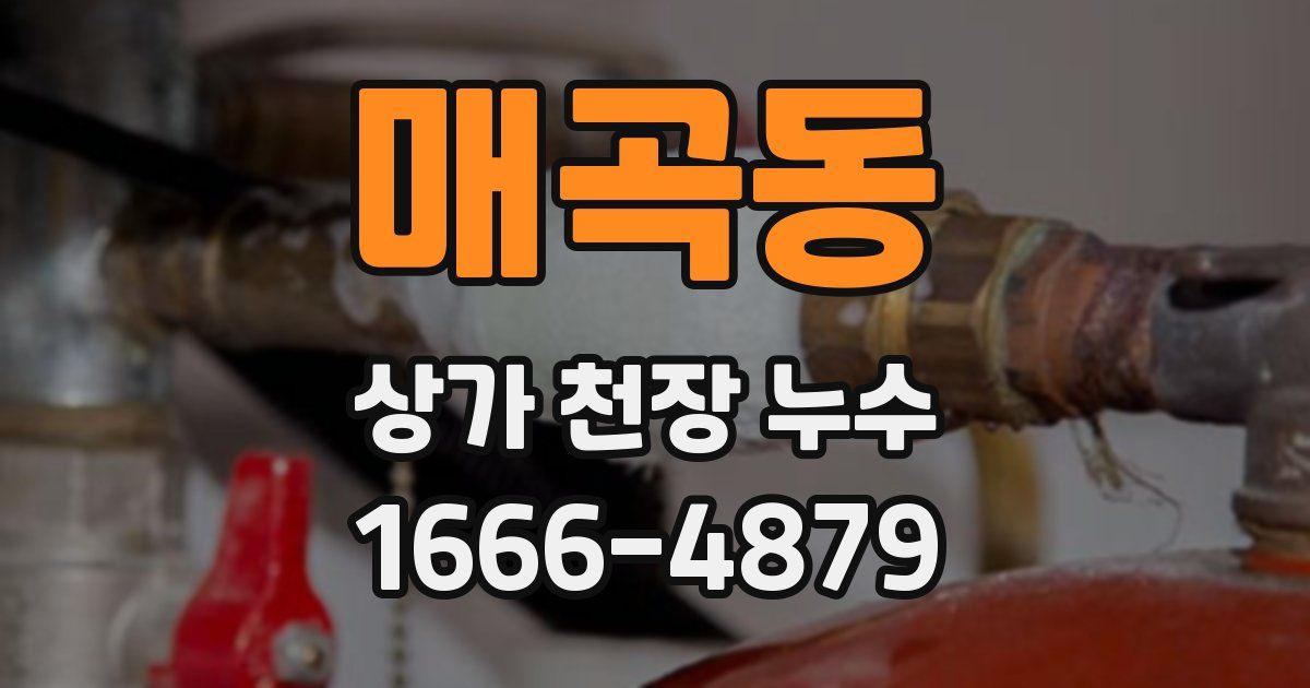 매곡동 상가 천장 누수
