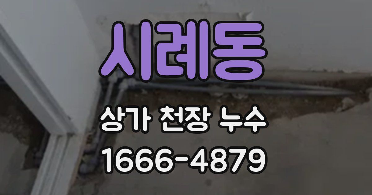 시례동 상가 천장 누수