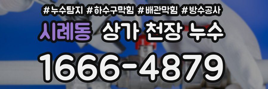 시례동 상가 천장 누수