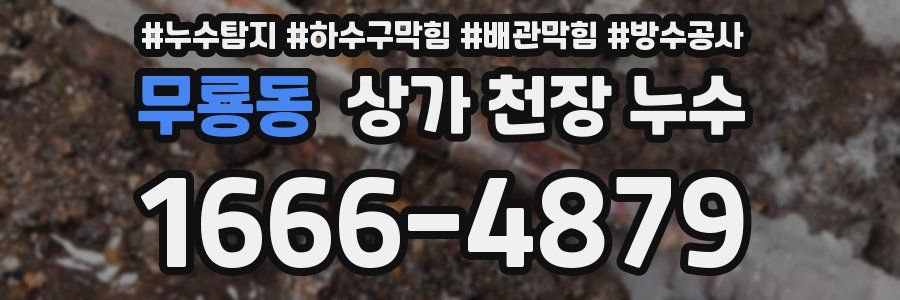 무룡동 상가 천장 누수