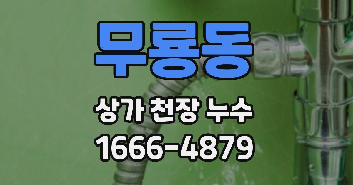 무룡동 상가 천장 누수