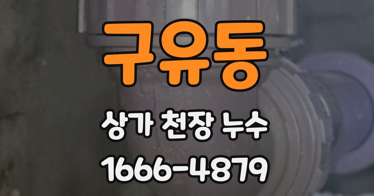 구유동 상가 천장 누수